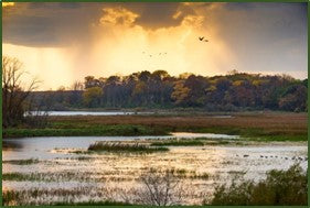 GRHA Helps partners close on critical wetlands habitat acquisition in Mississippi watershed