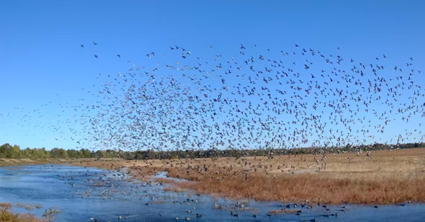 St. Charles Partnership – NEW EDUCATIONAL CENTER TO BE BUILT