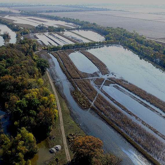 Great Rivers Confluence Wetlands & Waterfowl Conservation in the Confluence Flood Plain – Great ...