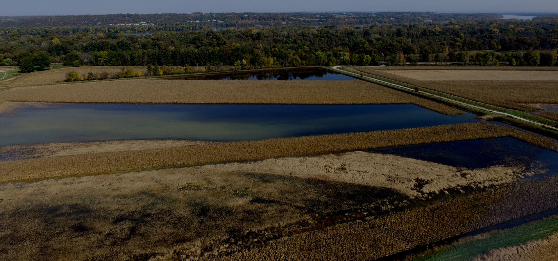 Great Rivers Confluence Wetlands & Waterfowl Conservation in the Confluence Flood Plain – Great ...